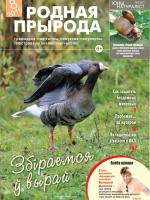 Родная прырода - 08.2019