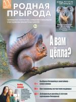 Родная прырода - 11.2019