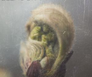 Краіна тысячы дробязей