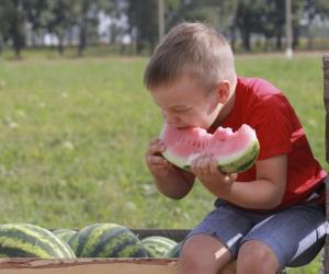 «Світанак» упершыню прапанаваў спажыўцам кавун