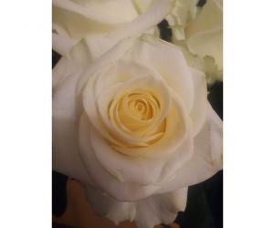 На шляху радасці