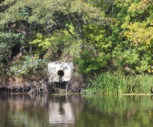 Одно правило для всех: сточные воды подлежат локальной очистке
