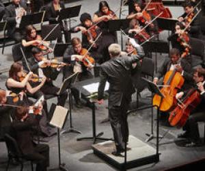 Васільковыя, сінія вочы