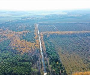 Балотнае адраджэнне