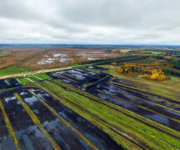 Магчымасць выратаваць біяразнастайнасць, аднавіўшы... балоты