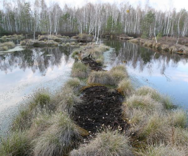 Остановить разрушение почв