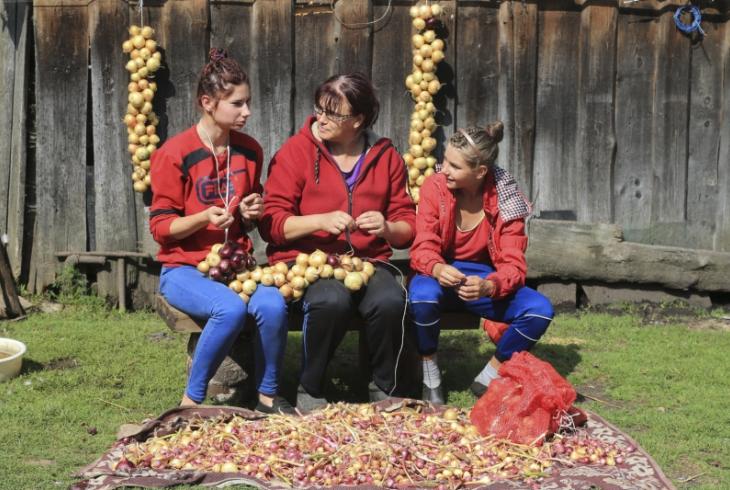 Цыбулька колеру сонца