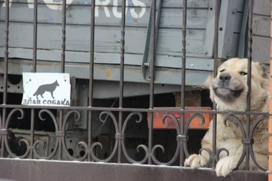 Простая мова. Сцежкi, што мы выбiраем