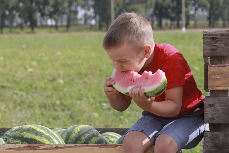 «Світанак» упершыню прапанаваў спажыўцам кавун