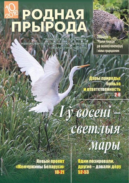 Родная прырода - 10.2016