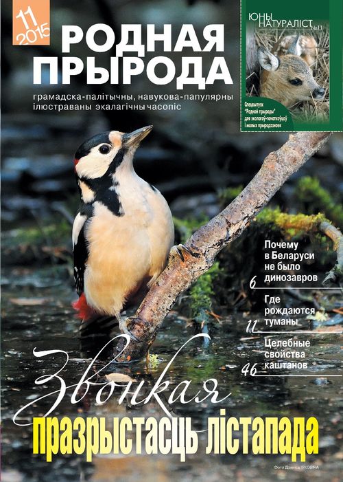 Родная прырода - 11.2015