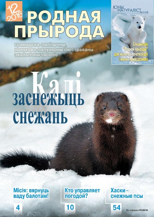 Родная прырода - 12.2016