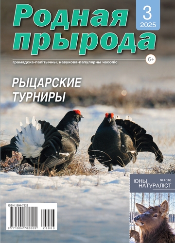 3_2025_РП