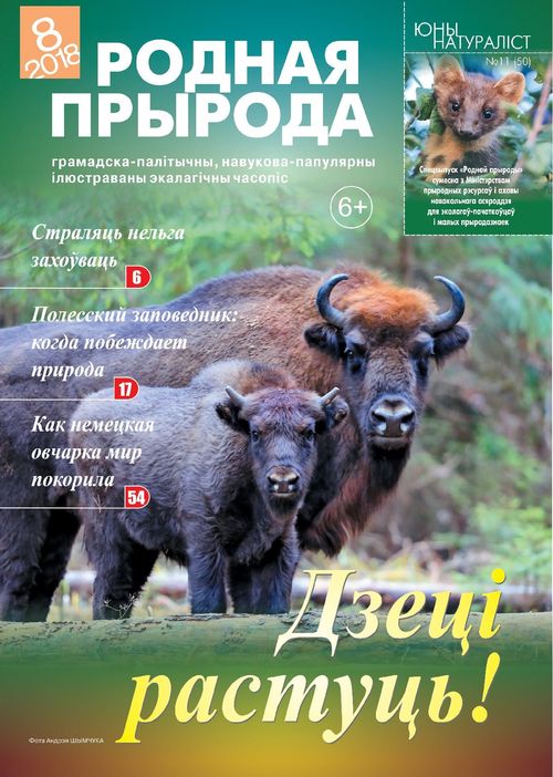 Родная прырода - 08.2018