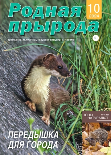 10_2024_РП