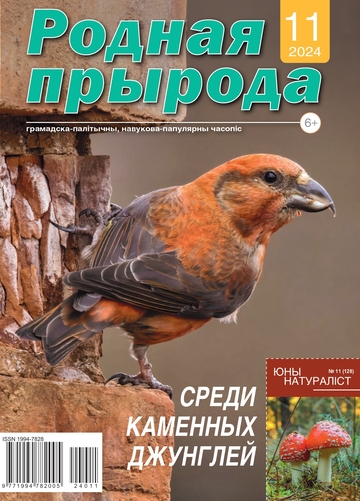 11_2024_РП