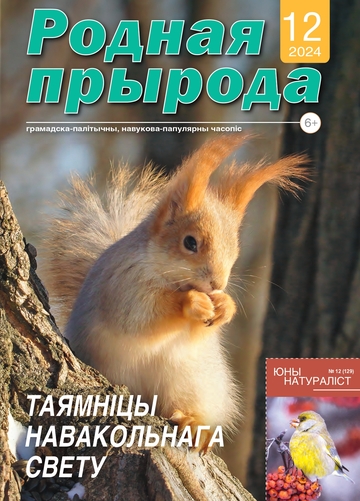 12_2024_РП