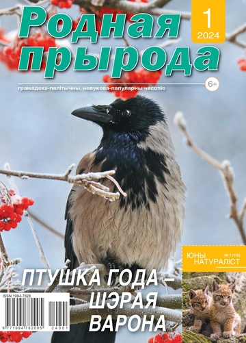 01_2024_РП