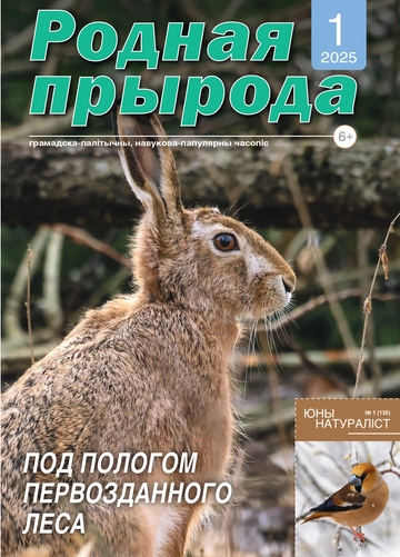 1_2025_РП