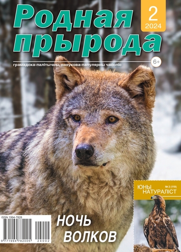 002_2024_РП
