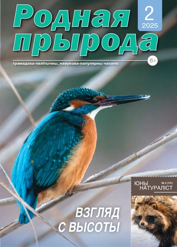 02_2025_РП