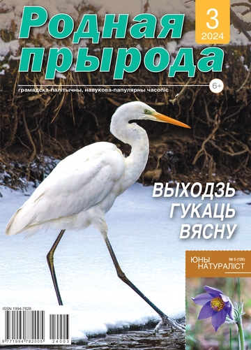 03_2024_РП