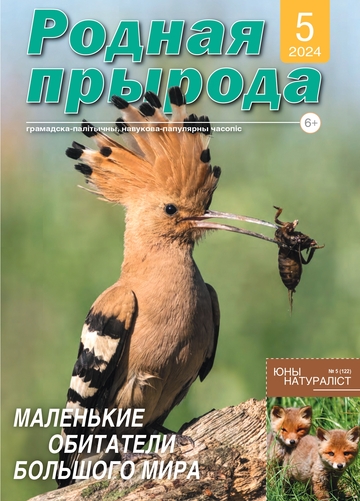 РП_05_2024