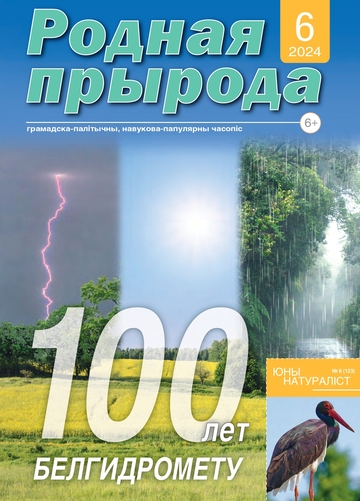 06_2024_РП