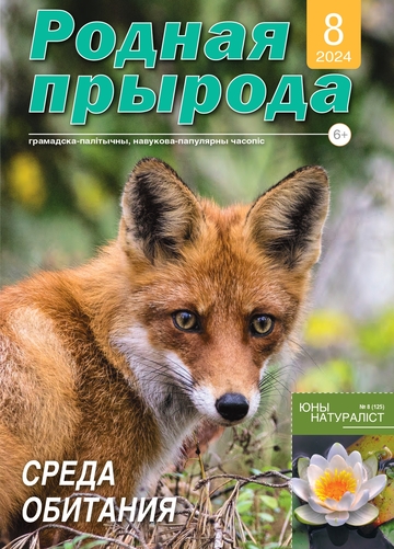 08_2024_РП