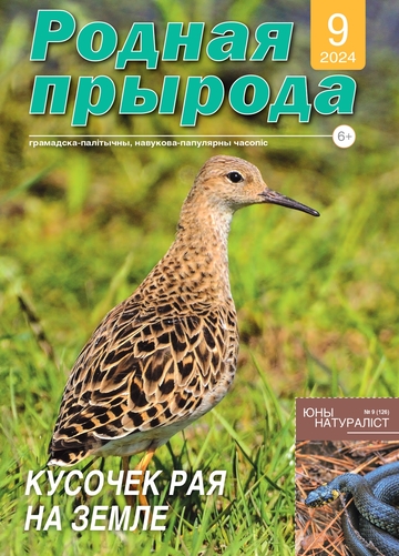 09_2024_РП