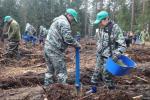 Лесанасенны цэнтр плануюць пабудаваць у Гомельскай вобласці