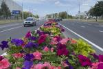 Як Мінск ўпрыгожаць да юбілею Вялікай Перамогі