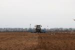 Plans for 2025 planting season in Belarus revealed