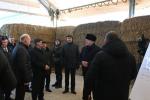 Aleksandr Lukashenko: 2025 and the new five-year period are about quality and iron discipline