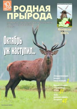 Можно ли дарить кружку на день рождения, любимому человеку К чему бьется посуда (тарелки, кружки, чашки)? Полное собрание примет