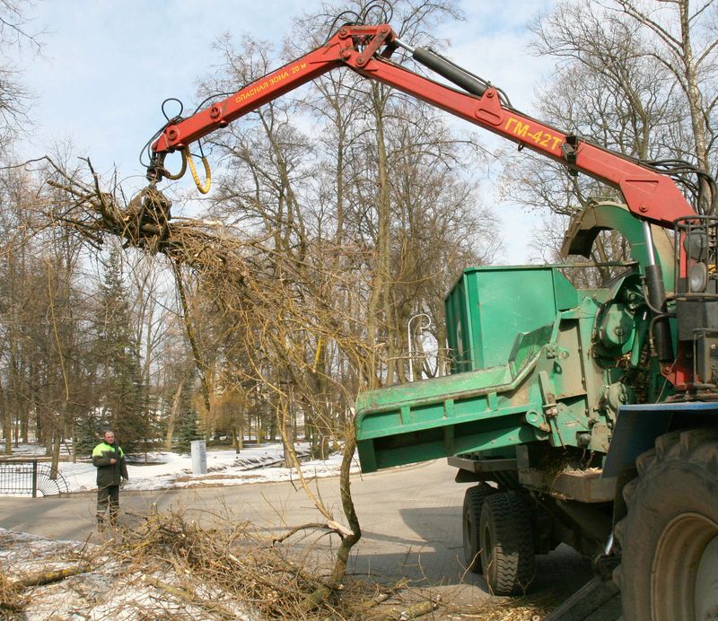 От мелиорации к вредным растениям. Что будет сделано?