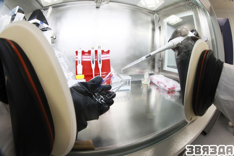 Беларускія навукоўцы распрацоўваюць біямедыцынскія прадукты для лячэння цяжкіх хвароб