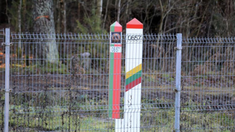 «Шкода — рэпутацыя і мільёны еўра»: эксперт — аб выхадцы літоўскіх улад