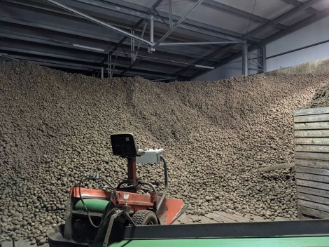  МАРГ праманіторыў закладку вітаміннай прадукцыі ў агароднінасховішчы