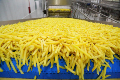 Бульба ў квадраце. Цяпер у топе не проста харчовая сыравіна, а амаль гатовы паўфабрыкат