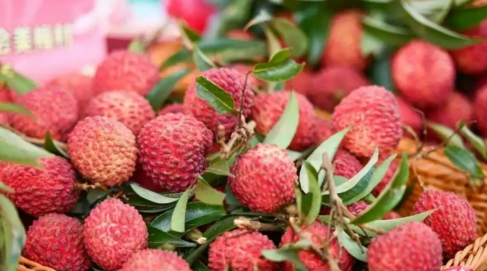 У Хайкоу вырошчваюць вулканічныя лічы