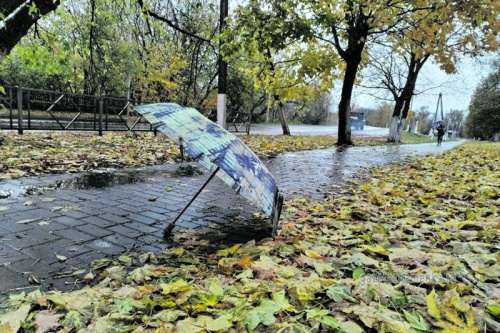 Зіма пакуль затрымліваецца