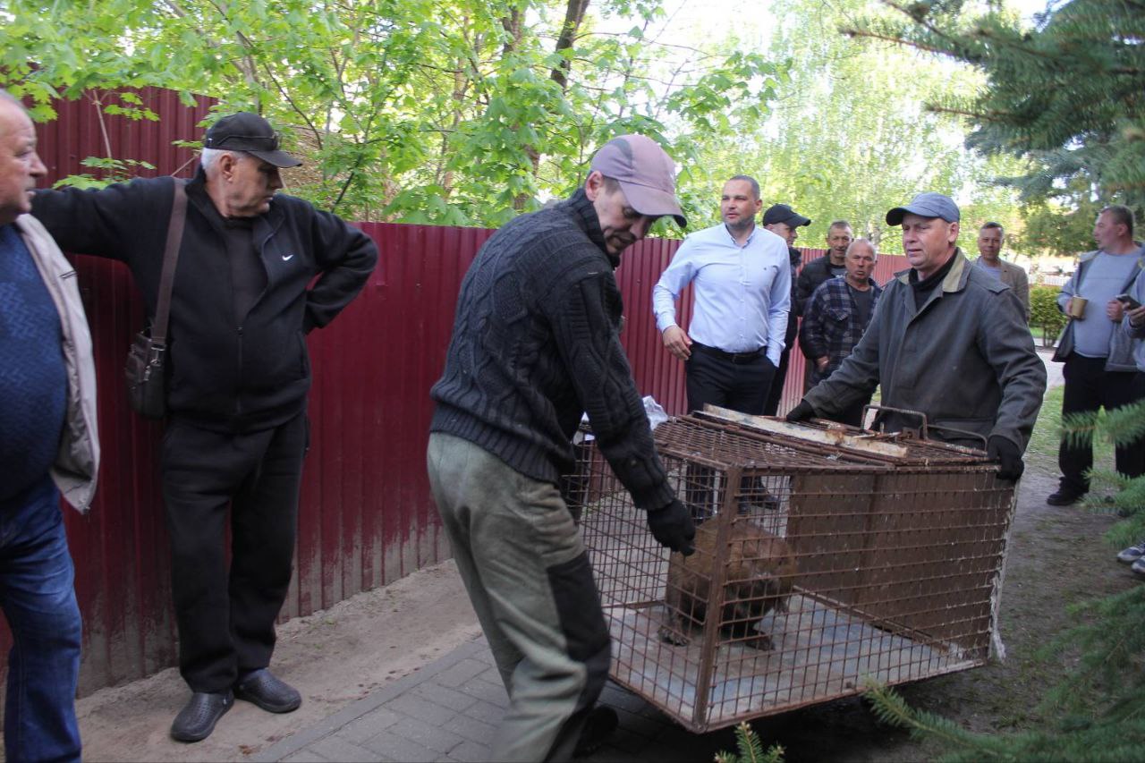 У Добрушы бабёр прыйшоў у паліклініку і заснуў ля ўваходу
