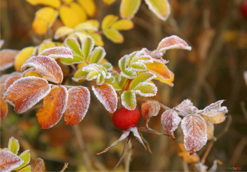 Адносна цёпла, але ўначы ўжо замаразкі