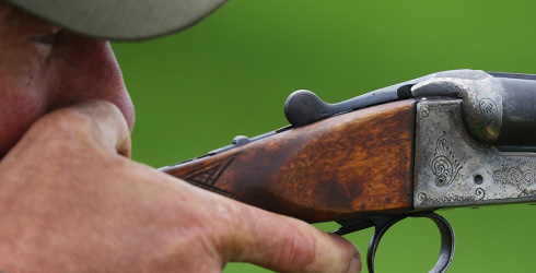 Ноябрь в Беларуси объявлен месяцем охотничьего туризма