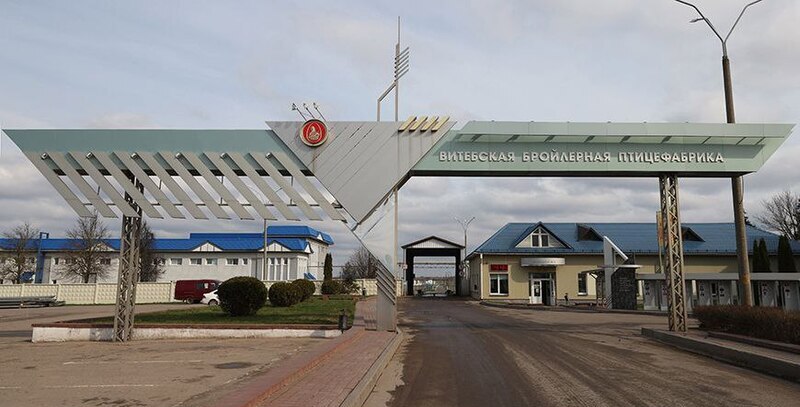 Як працоўныя мігранты працуюць на прадпрыемстве ў Віцебскім раёне