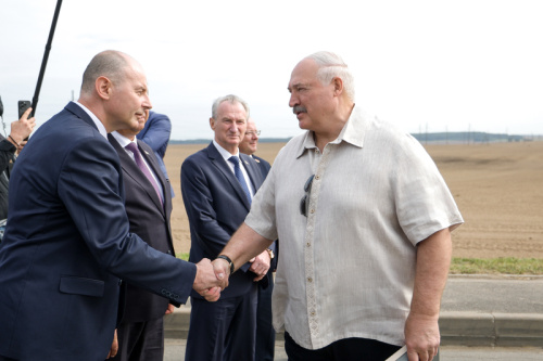 Лукашенко ориентирует на получение в Беларуси урожая маслосемян рапса около 1 млн тонн