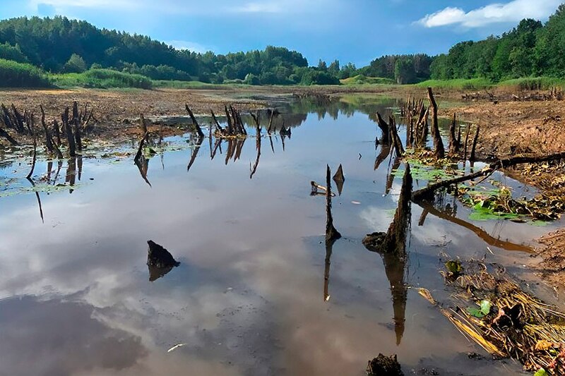 Бабёр у Віцебскай вобласці асушыў цэлае возера