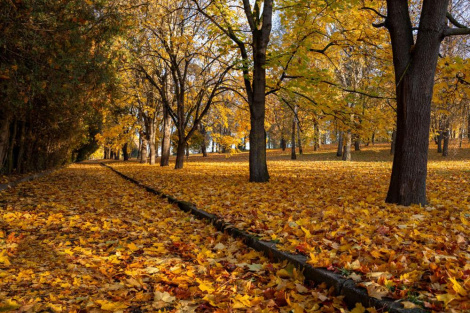 На выхадныя пахаладае