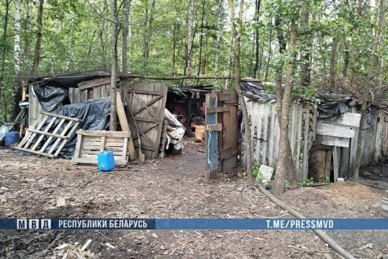 У лесе пад Пружанамі знайшлі міні-завод па вытворчасці алкаголю